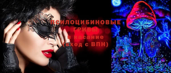 крисы Абинск