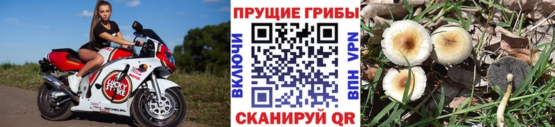 Галлюциногенные грибы MAGIC MUSHROOMS  Магнитогорск 
